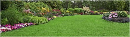 Bundaberg Rubbish Removal Mowing & Gardening