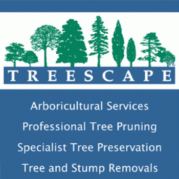 Tree removal, cutting, lopping, felling, trimming