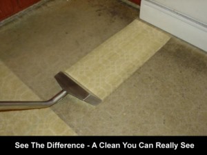 Stain Removal, Deep Cleaning, Carpet & Upholstery Gold Coast